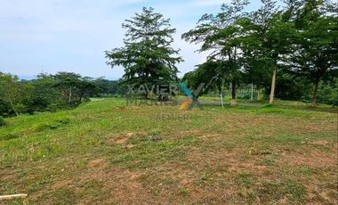 Dijual dan Disewakan Tanah Kavling View Golf di Taman Dayu by Ciputra, Pandaan, Pasuruan