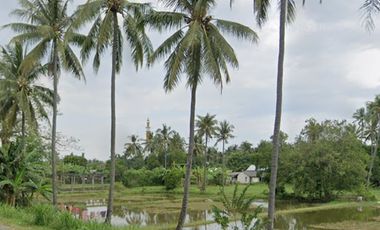 Tanah Murah + Luas 300Are Di Bibir Pantai Batu Layar,Cocok Untuk Hotel