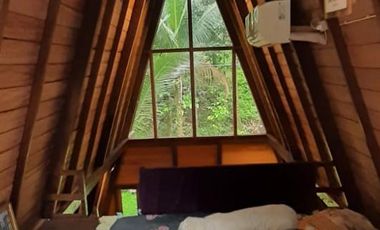 Villa Kayu Tanah Luas Dkt Air Terjun, Perbukitan, Alam Pedesaan