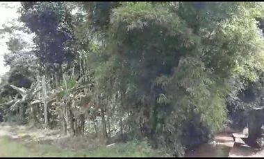 Jual Tanah Tegalan Pinggir Jalan Kranggan Temanggung 9600 m2