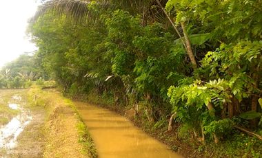 Jual Tanah Tegalan Pinggir Jalan Kranggan Temanggung 9600 m2