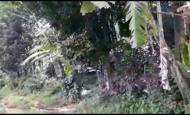 Jual Tanah Tegalan Pinggir Jalan Kranggan Temanggung 9600 m2