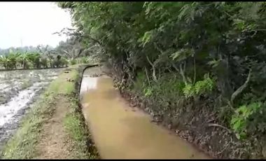 Jual Tanah Tegalan Pinggir Jalan Kranggan Temanggung 9600 m2