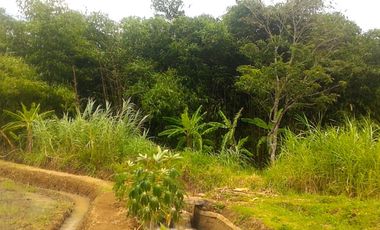 Jual Tanah Tegalan Pinggir Jalan Kranggan Temanggung 9600 m2