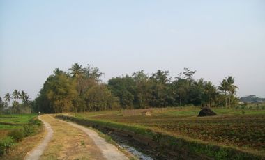 Jual Tanah Tegalan Pinggir Jalan Kranggan Temanggung 9600 m2