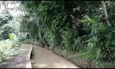 Jual Tanah Tegalan Pinggir Jalan Kranggan Temanggung 9600 m2