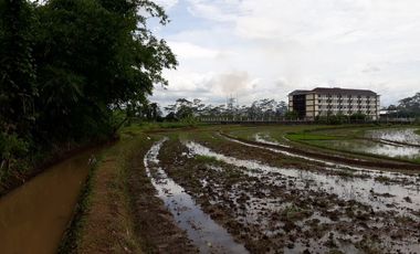 Jual Tanah Tegalan Pinggir Jalan Kranggan Temanggung 9600 m2