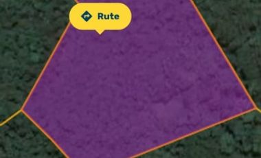 tanah murah meriah 2,3ha hanya 700jt