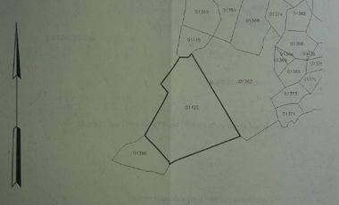 tanah murah meriah 2,3ha hanya 700jt