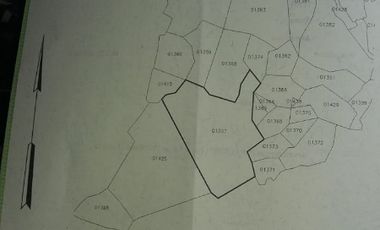 tanah murah meriah 2,3ha hanya 700jt