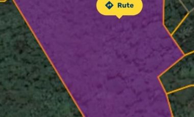 tanah murah meriah 2,3ha hanya 700jt