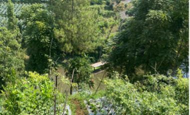 Dijual Tanah di Cibodas Maribaya  2600mtr cocok buat villa