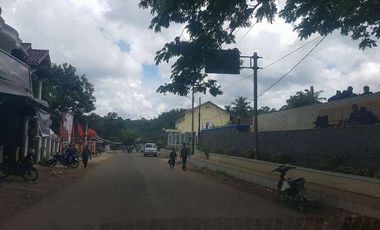 Tanah Dijual Di Jalan Raya Cirinten Lebak Banten cocok utk perkebunan