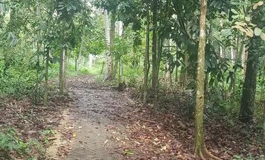 Tanah Dijual di warunggunung dekat pasar Sampay Sukaraja 2500 m2