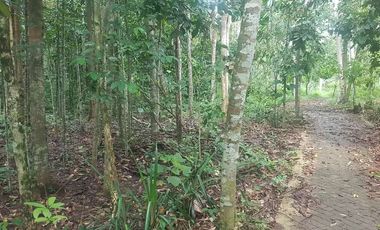 Tanah Dijual di warunggunung dekat pasar Sampay Sukaraja 2500 m2