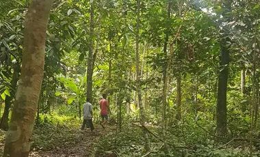 Tanah Dijual di warunggunung dekat pasar Sampay Sukaraja 2500 m2