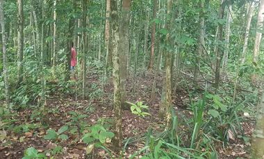 Tanah Dijual di warunggunung dekat pasar Sampay Sukaraja 2500 m2