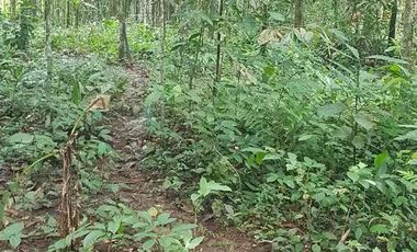 Tanah Dijual di warunggunung dekat pasar Sampay Sukaraja 2500 m2