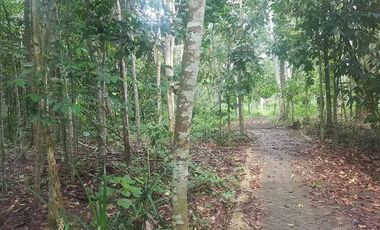 Tanah Dijual di warunggunung dekat pasar Sampay Sukaraja 2500 m2