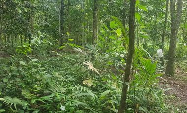 Tanah Dijual di warunggunung dekat pasar Sampay Sukaraja 2500 m2