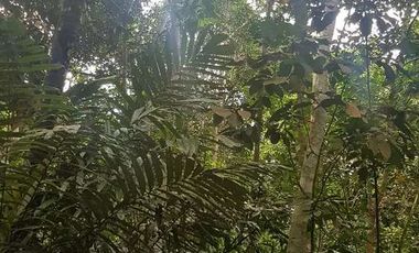 Tanah Dijual di warunggunung dekat pasar Sampay Sukaraja 2500 m2