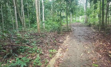 Tanah Dijual di warunggunung dekat pasar Sampay Sukaraja 2500 m2