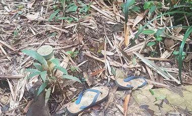 Tanah Dijual di warunggunung dekat pasar Sampay Sukaraja 2500 m2