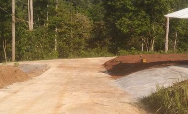 Tanah kavling murah pinggir jalan raya Puntan UNNES gunungpati