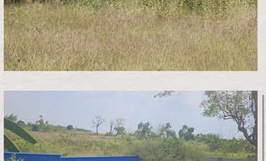 Raya mantup lamongan