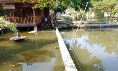 Villa Asri Tanah Luas Plus Kolam Ikan di Bojong Purwakarta