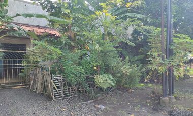 Dijual rumah dekat Exit Tol Besuki