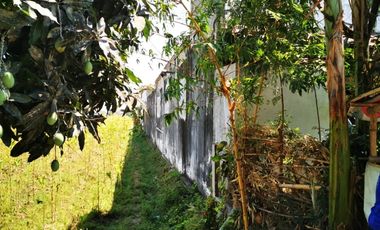Dijual rumah dekat Exit Tol Besuki