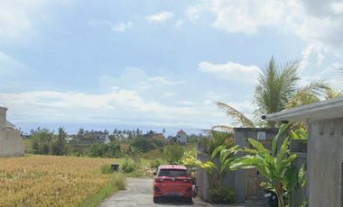 Pantai lima pererenan badung bali