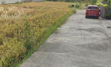 Pantai lima pererenan badung bali