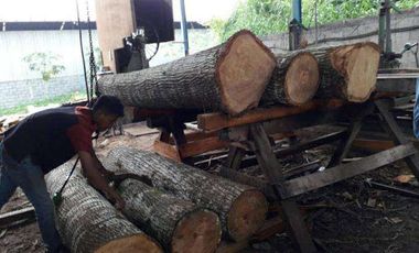 Dijual pabrik triplek take over di Mojosari Mojokerto