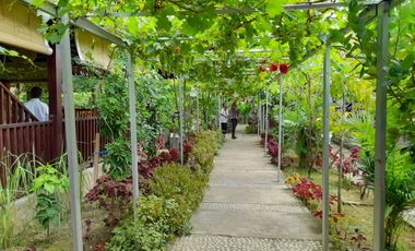 Hotel di Tanjung Lombok utara