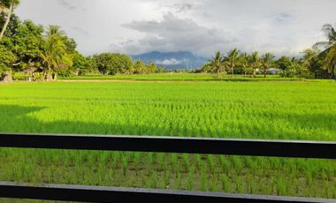 Hotel di Tanjung Lombok utara