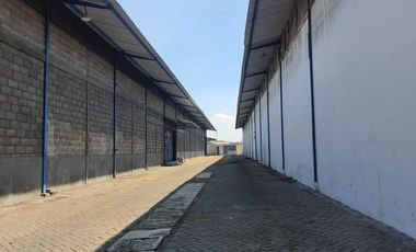 Disewaka gudang di Gunung Gangsir Pasuruan