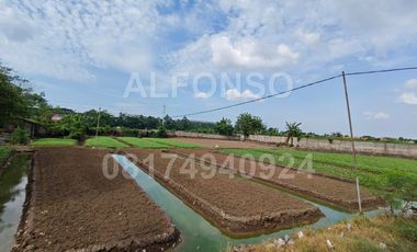 TANAH INDUSTRI JL PEMBANGUNAN TANGERAN BANTEN