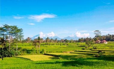 4 Star Licensed Hotel Resort and Spa For Sale in Ubud, Bali