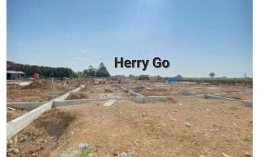 Aero Bizhub Pajang Terbaik