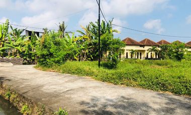 Dijual Rumah Murah di Tabanan