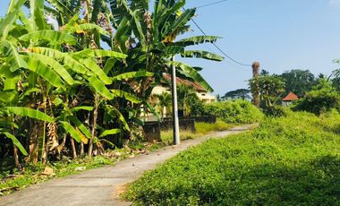 Dijual Rumah Murah di Tabanan