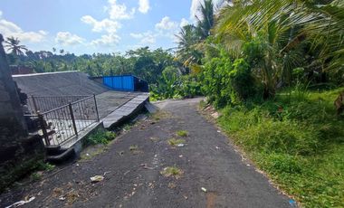 Dijual Tanah Dilokasi Tenang Jl kamboja Mengwi badung