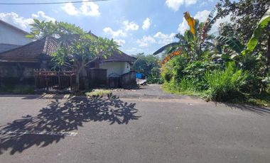 Dijual Tanah Dilokasi Tenang Jl kamboja Mengwi badung