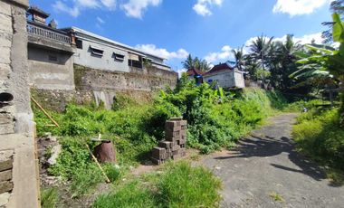 Dijual Tanah Dilokasi Tenang Jl kamboja Mengwi badung
