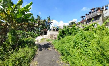 Dijual Tanah Dilokasi Tenang Jl kamboja Mengwi badung