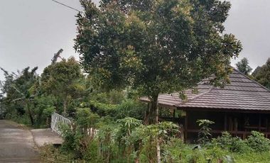 DIJUAL/DISEWAKAN COTTAGE VIEW BUKIT BULELENG