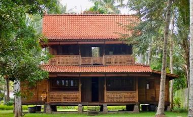 LUXURIOUS BEACH FRONT WOODEN VILLA