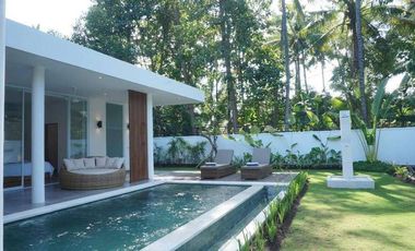 VILLA BARU STYLE MINIMALIST MODERN DI LOVINA BALI